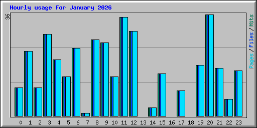 Hourly usage for January 2026